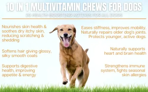 10 in 1 Multivitamin Chew Treats for Dogs. 20 Healthy Actives: Glucosamine, Chondroitin & Turmeric for Joint Support, Omega Fish Oil for Skin, Pumpkin & Cranberry for Gut & Immune Health.120ct 