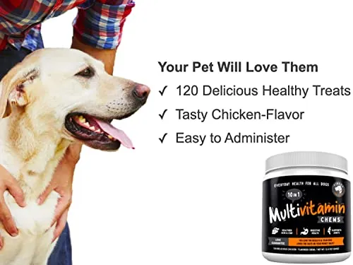 10 in 1 Multivitamin Chew Treats for Dogs. 20 Healthy Actives: Glucosamine, Chondroitin & Turmeric for Joint Support, Omega Fish Oil for Skin, Pumpkin & Cranberry for Gut & Immune Health.120ct 