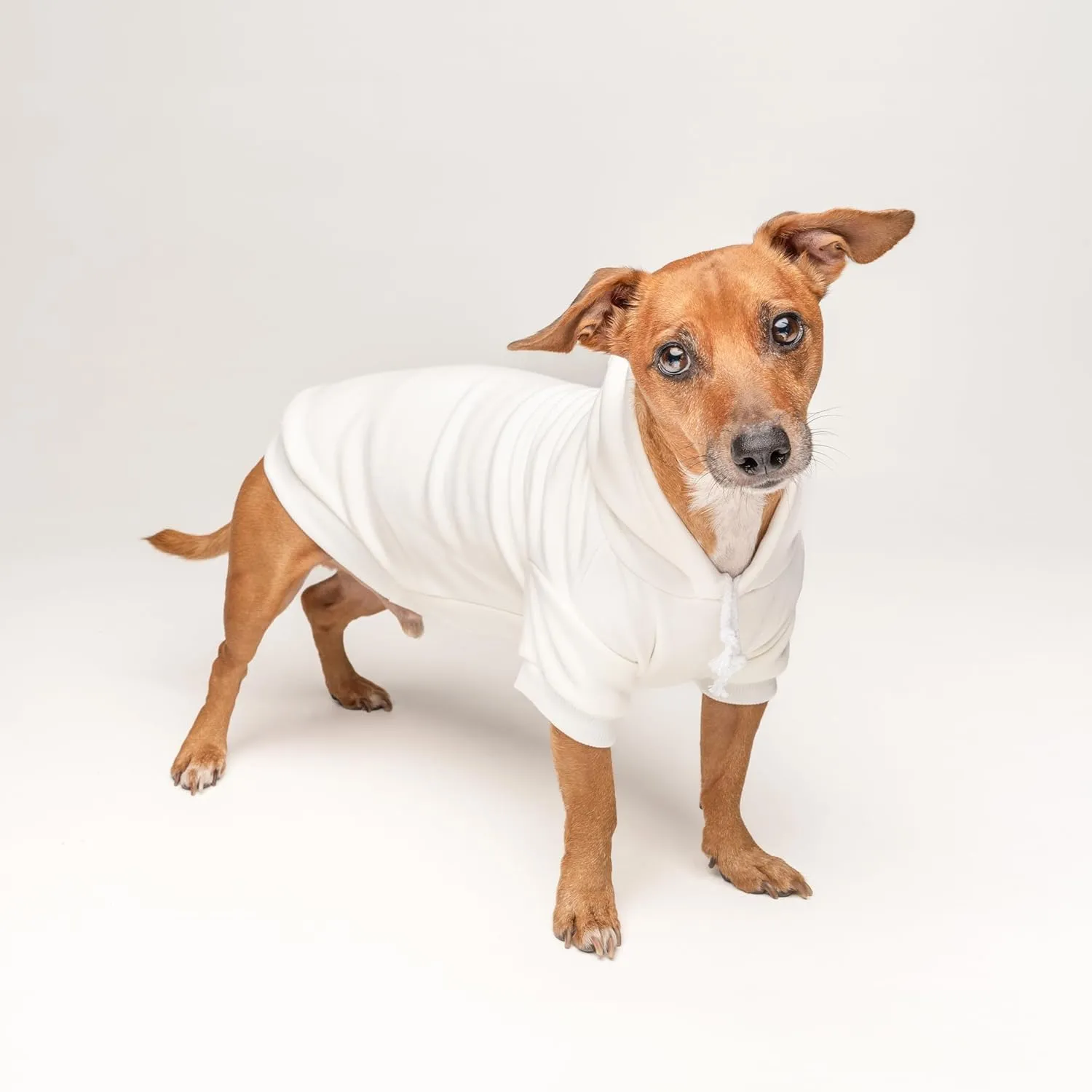 Adopt Me Dog Hoodie | Fleece Lined |Leash Hole| Adoption Event Prop Photoshoot | Rescue|Cream, 5X-Large (1237)