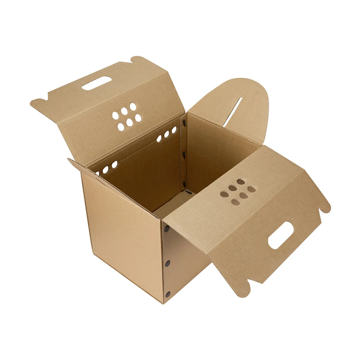Anko Pet Cardboard Carrier/Perfect for Quick Trips