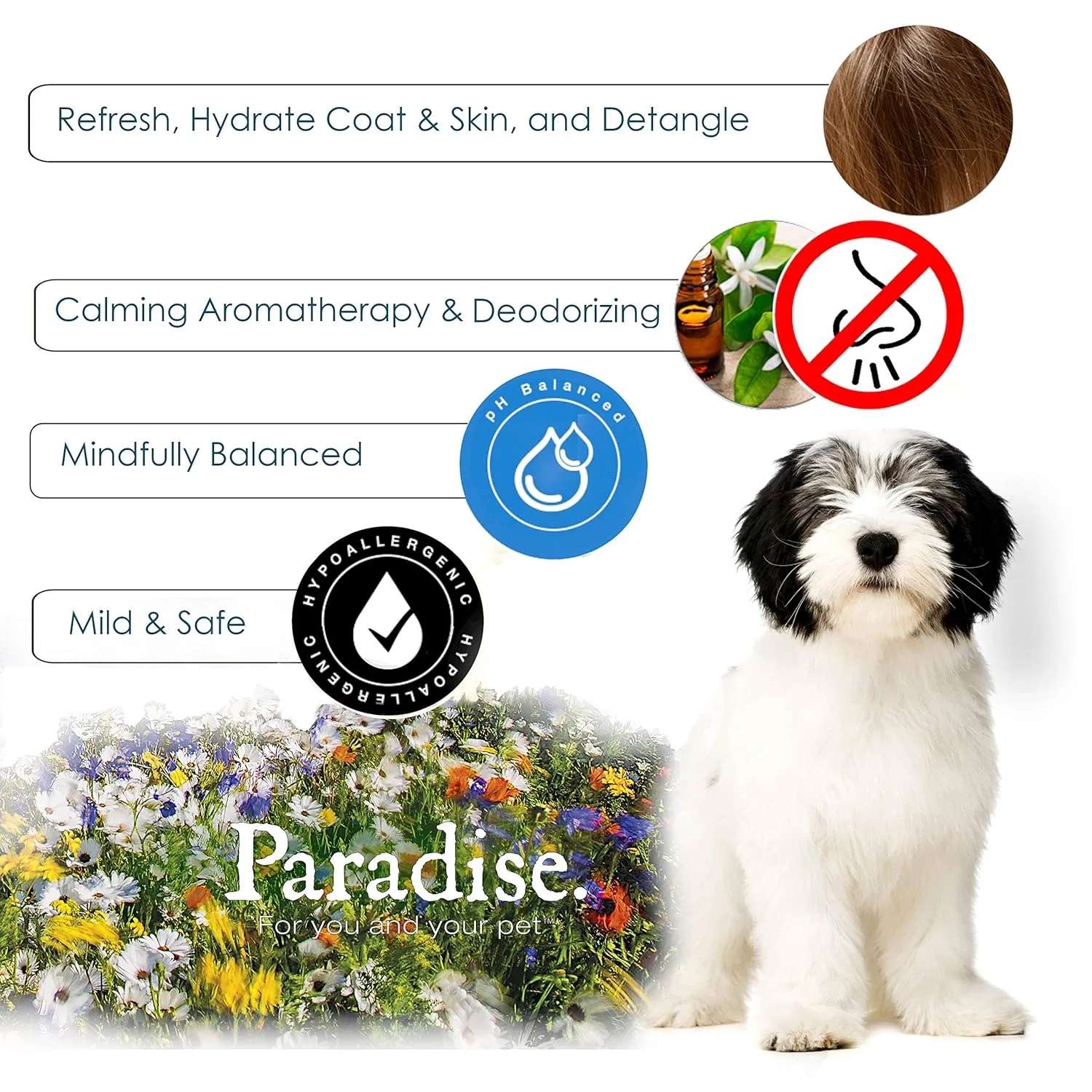 Best Shot Scentament Spa Botanical Body Splash, Detangler Spray, Body Spray for Pets, Cat and Dog Cologne Spray, Mango Maui, 8 Oz.