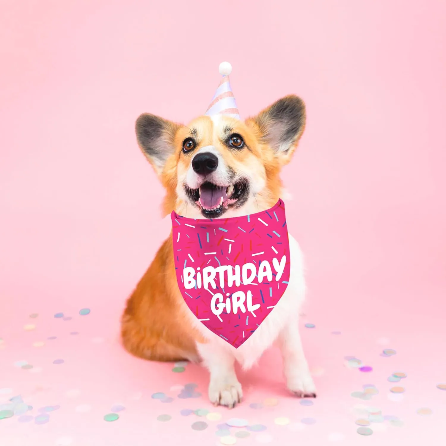 Birthday Girl Dog Bandanas 1 Pack, Pink Dog Scarfs for Puppy, Pet Scarves HBD Bandanas for Small Medium Large Dogs (Birthday Girl, One Size)