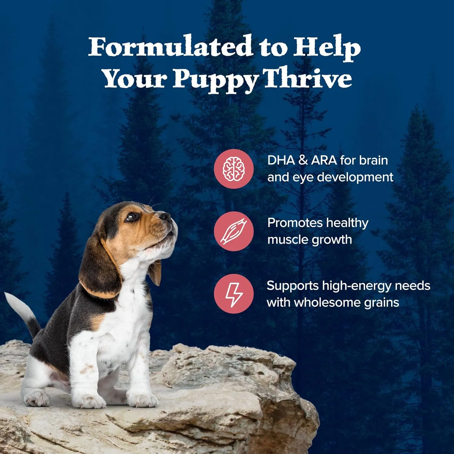 Blue Buffalo Wilderness High-Protein Natural Dry Food for Puppies, Salmon Recipe, 13-lb. Bag