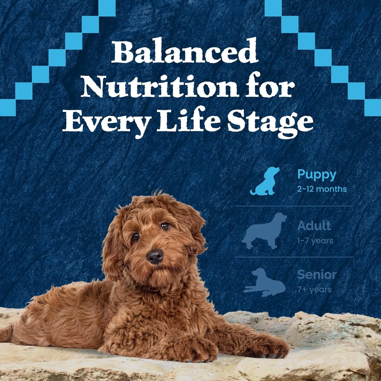 Blue Buffalo Wilderness High-Protein Natural Dry Food for Puppies, Salmon Recipe, 13-lb. Bag