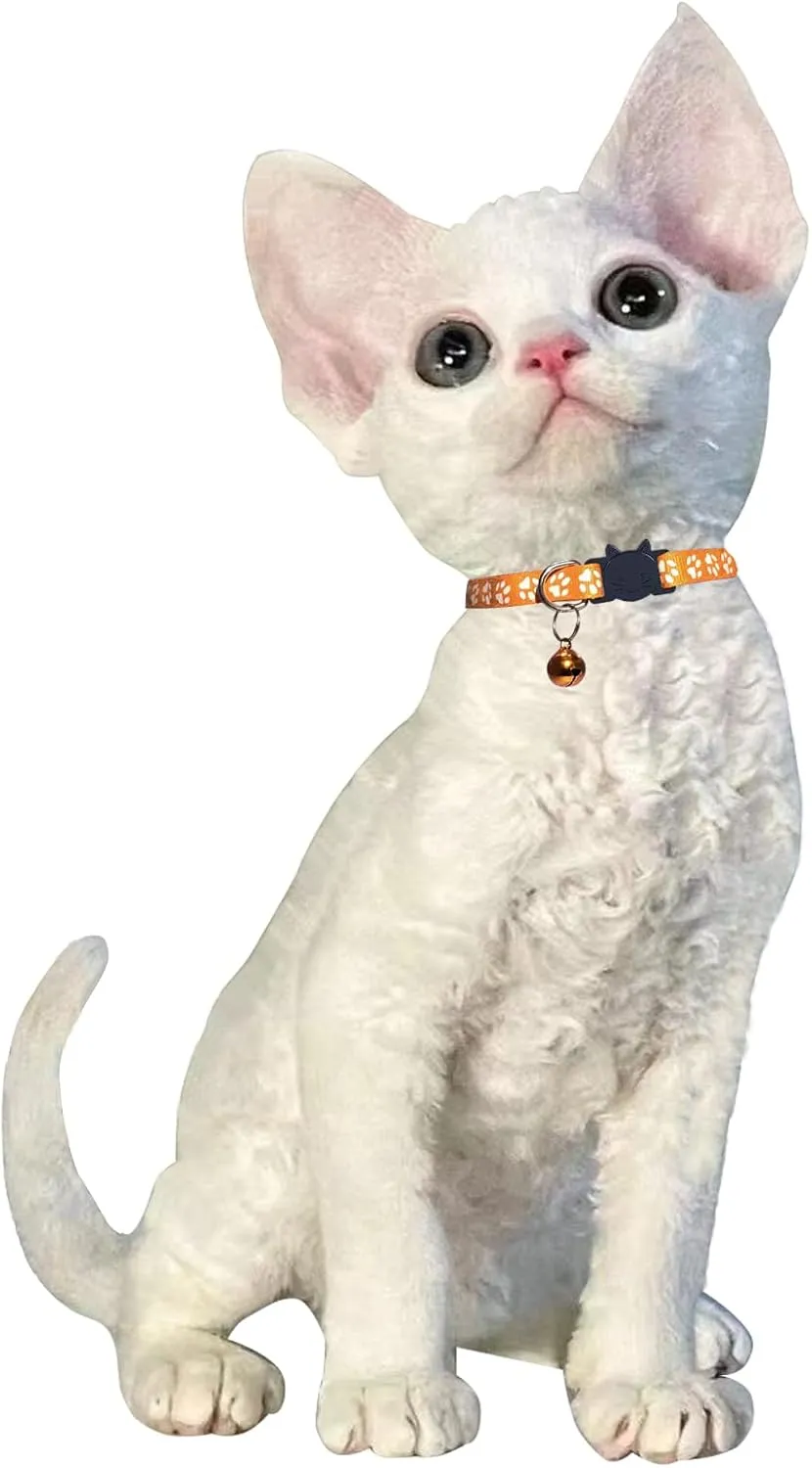 Breakaway Reflective Nylon Cat Collars with Bell - 2 Black   2 Sky Blue