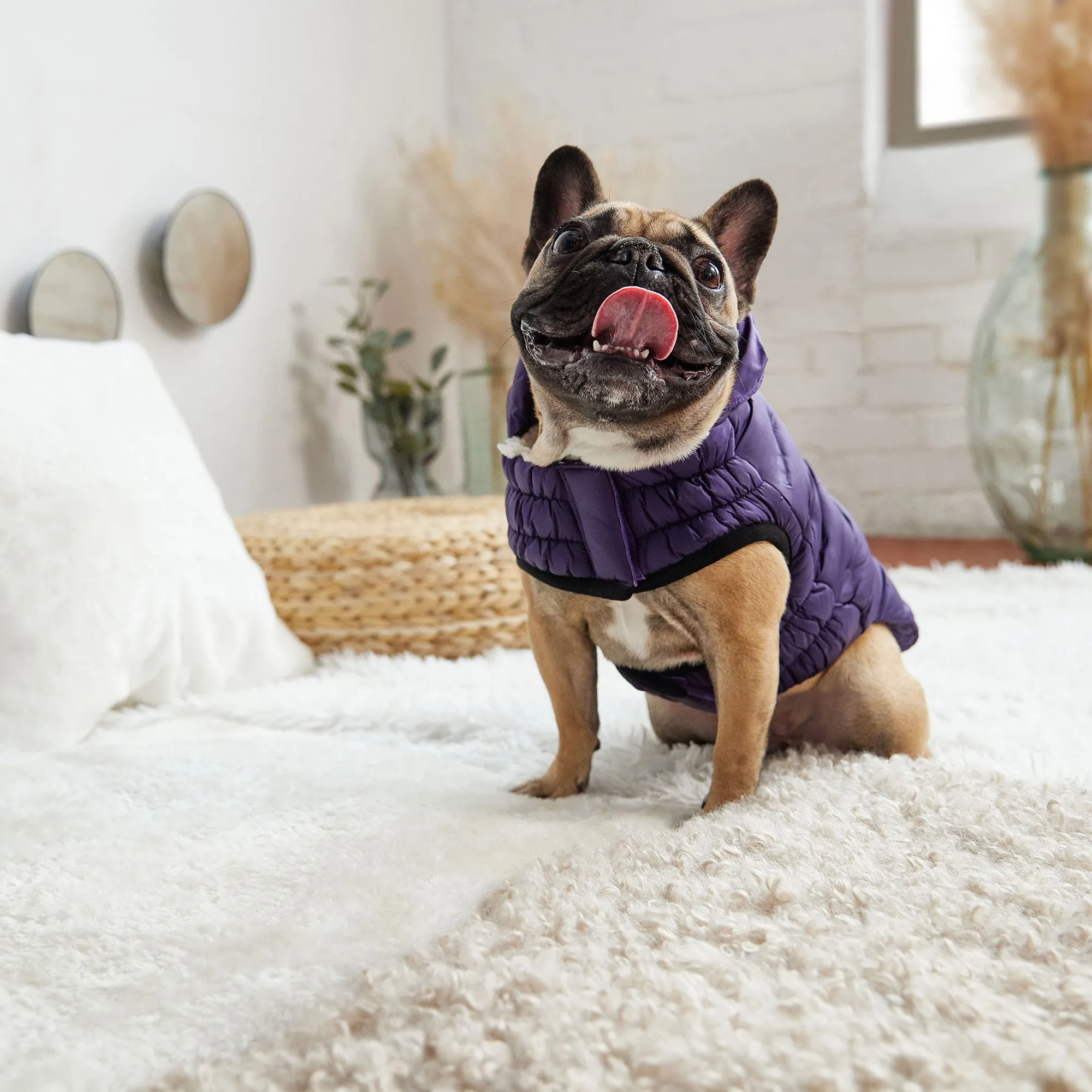 Cloud Dog Parka | Purple