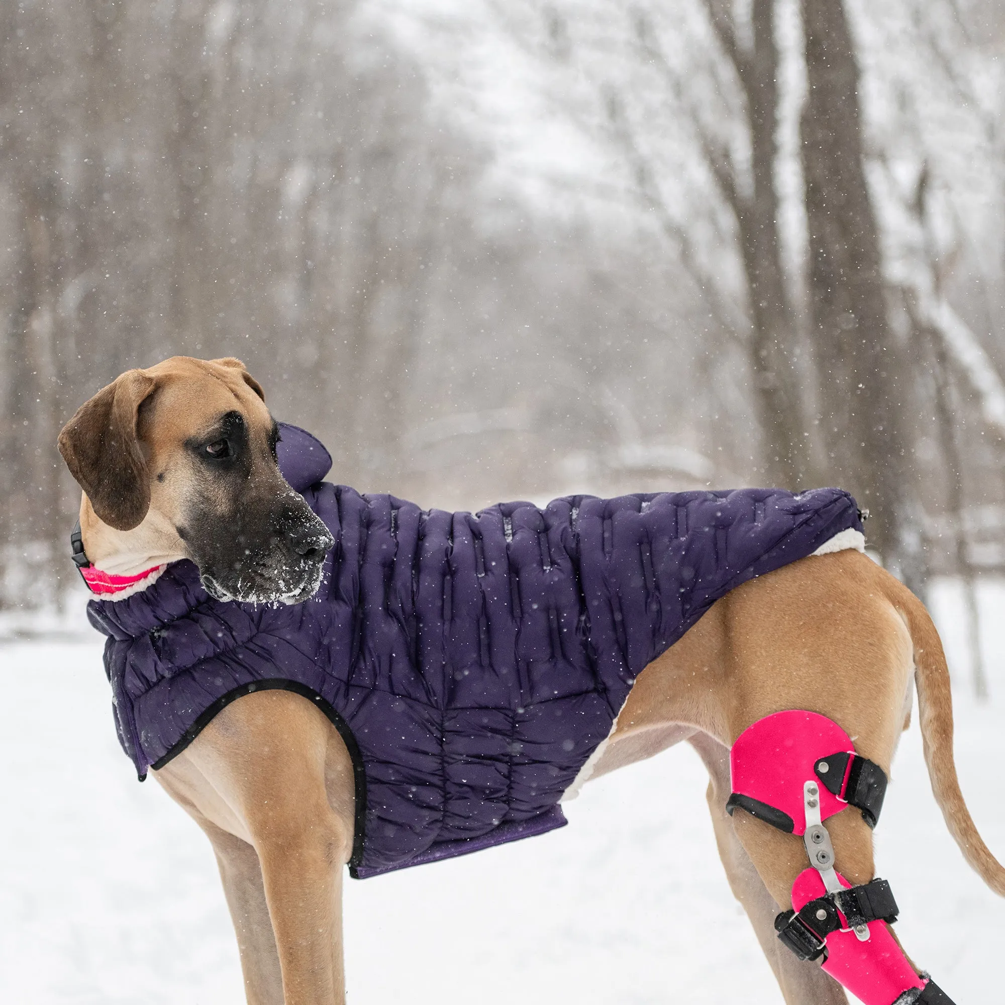 Cloud Dog Parka | Purple
