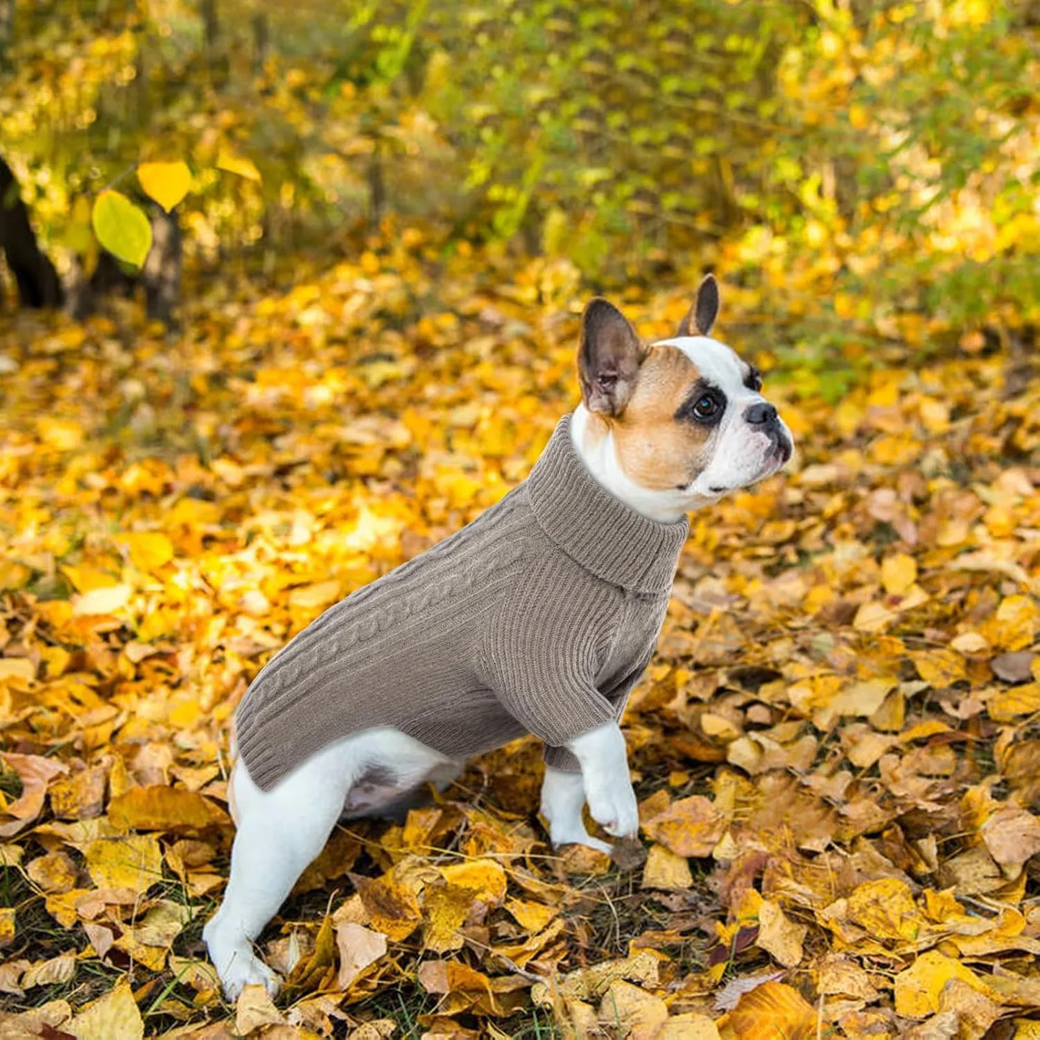 Dog Sweater Pet Dog Sweaters for Large Dogs Girl Boy Dog Christmas Sweater Classic Dog Turtleneck Knitwear Dog Thanksgiving Outfit Warm Dog Winter Clothes for Chihuahua, Bulldog, Dachshund, Pug