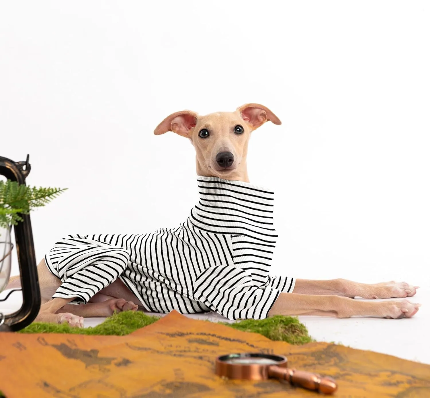Dog Sweaters for Small Dogs Girls Boys, Striped Pet Sweaters for Fall Winter Dog Clothes, Turtleneck Pullover Knitwear for Small Medium Large Dogs