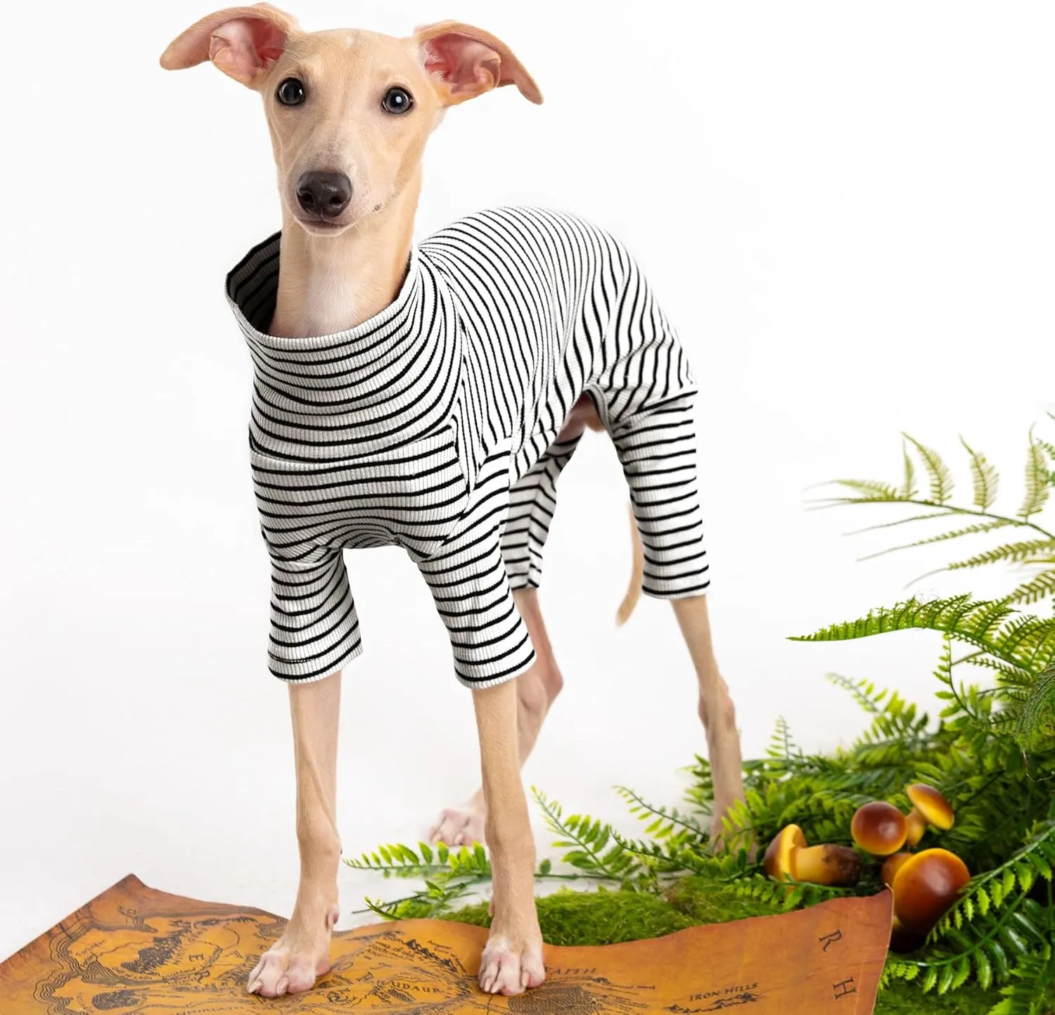 Dog Sweaters for Small Dogs Girls Boys, Striped Pet Sweaters for Fall Winter Dog Clothes, Turtleneck Pullover Knitwear for Small Medium Large Dogs