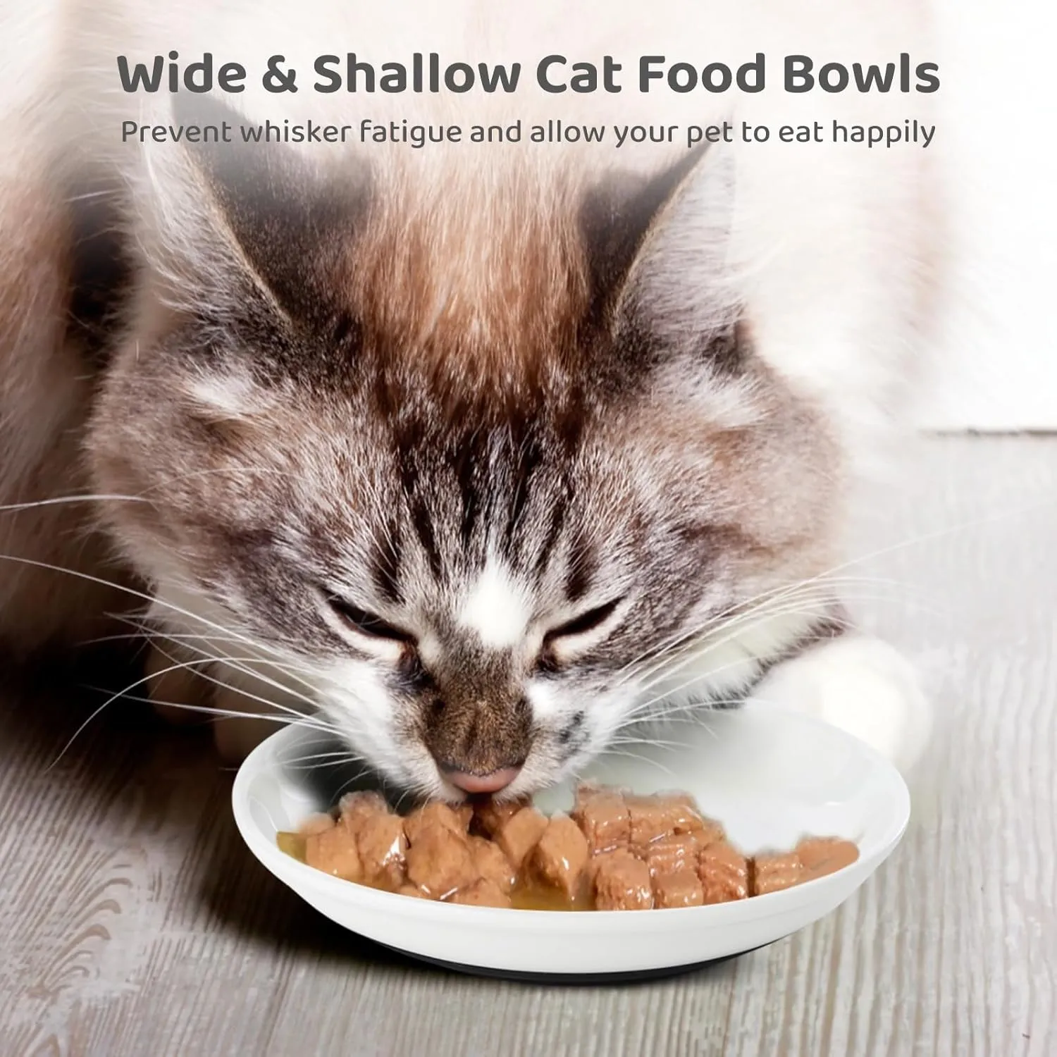 Dorakitten Ceramic Cat Bowls 6 Pack, No Whisker Fatigue Wide Shallow Cat Dishes with Non-Slip Silicone Bottom, Pet Food & Water Plates, 5.9 Inches Diameter