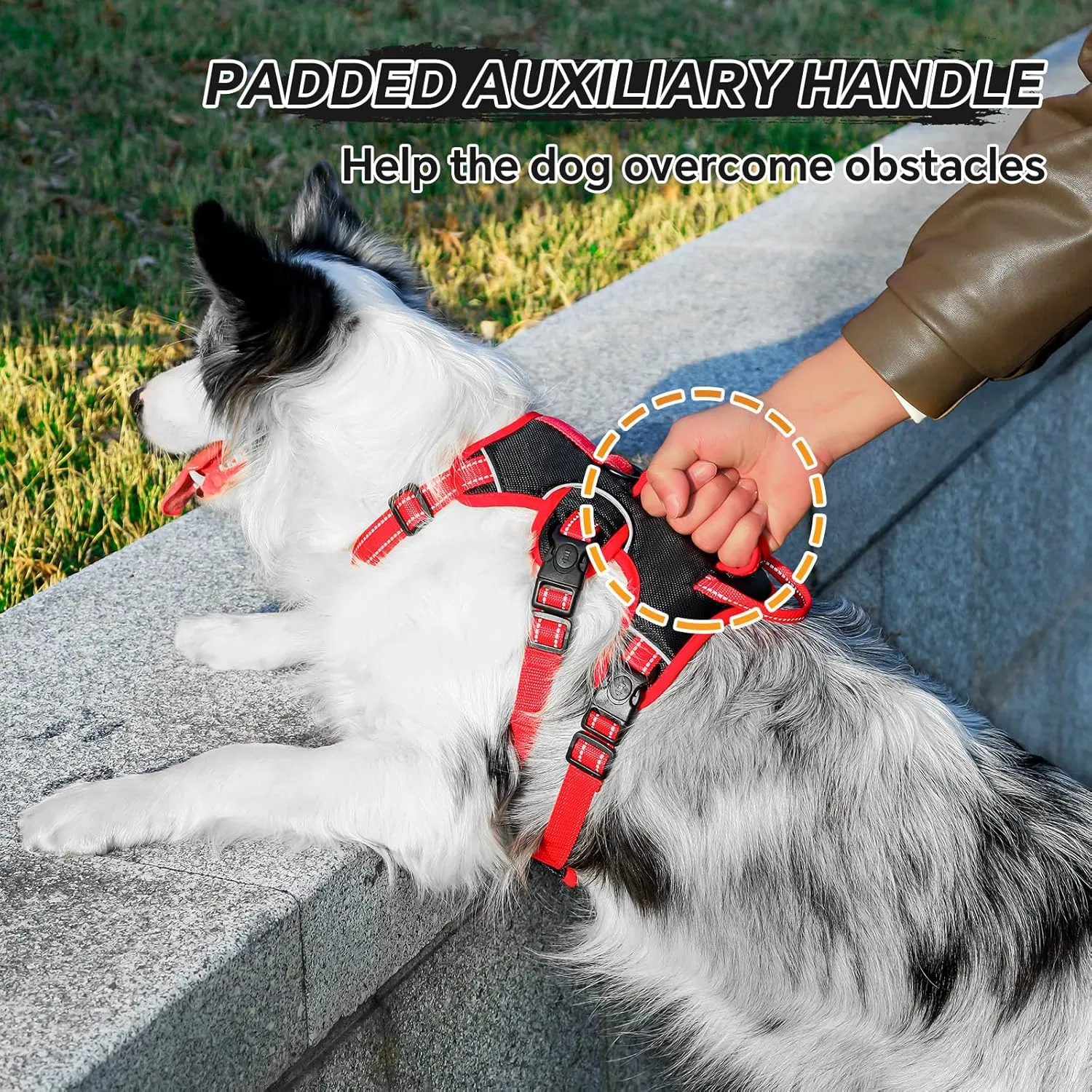 Escape Proof Soft Padded Full Body No Pull Dog Harness and Leash Set, Reflective Vest with Handle, Adjustable Six Point, Large Size (Black)