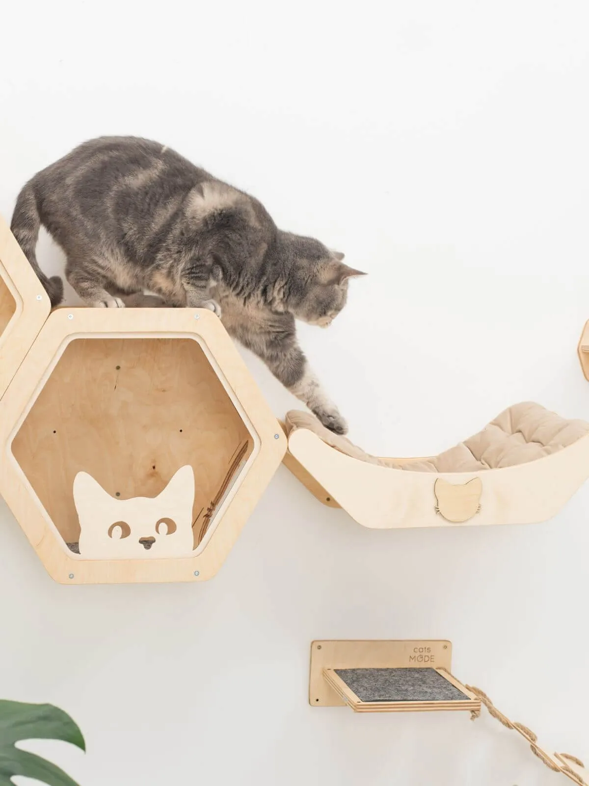 Floating Cat Shelf Perch Oak