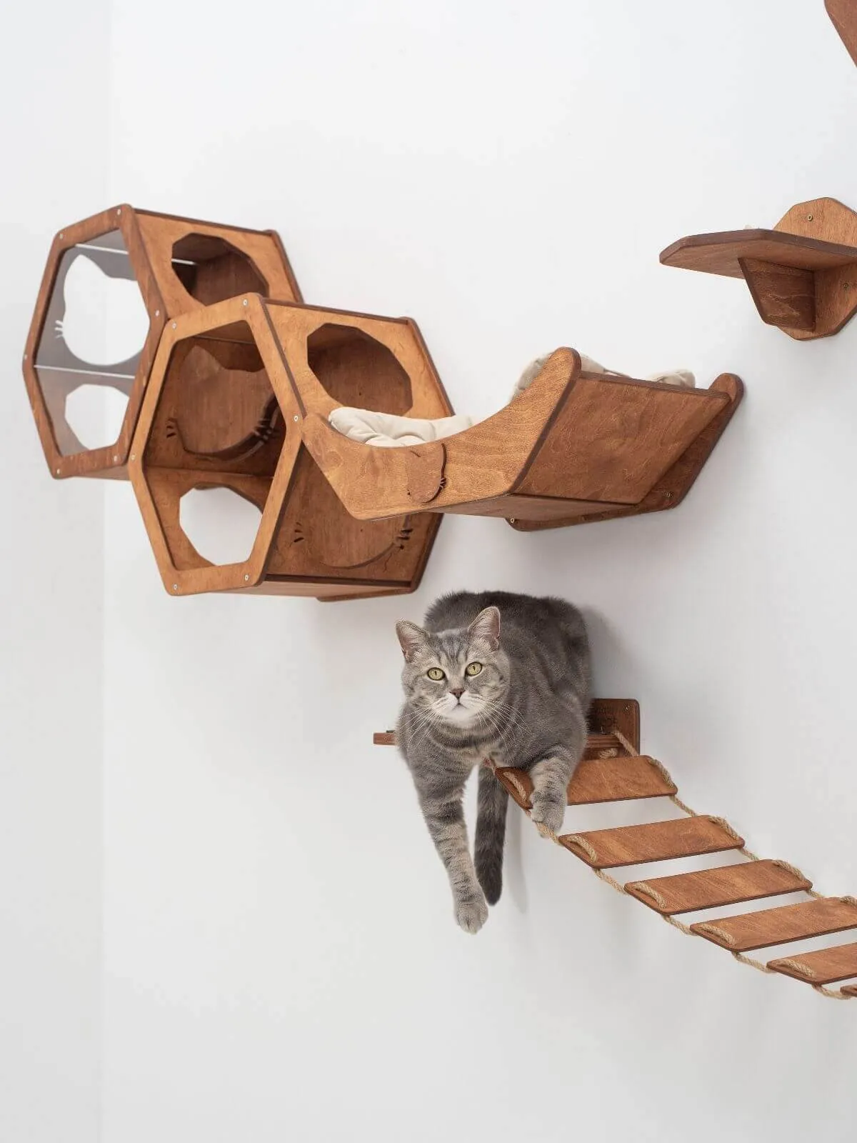 Floating Cat Shelf Perch Oak