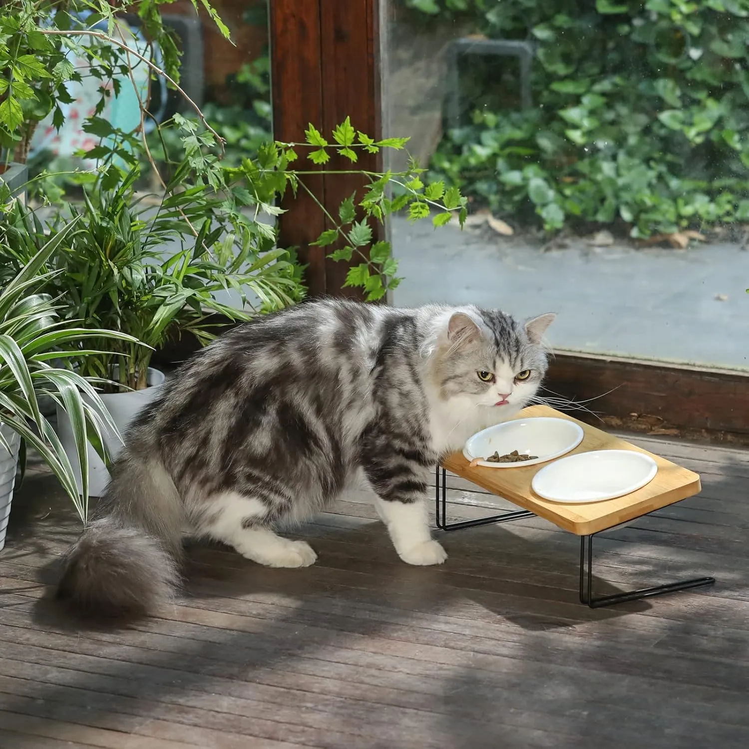 FUKUMARU Elevated Cat Ceramic Bowls, Small Dog 15 Tilted Raised Food Feeding Dishes, Solid Bamboo Water Stand Feeder Set for Cats and Puppy