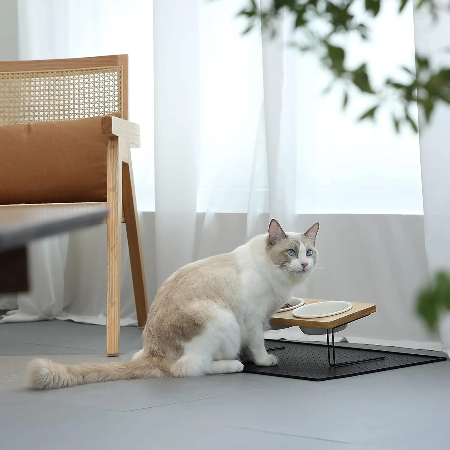 FUKUMARU Elevated Cat Ceramic Bowls, Small Dog 15 Tilted Raised Food Feeding Dishes, Solid Bamboo Water Stand Feeder Set for Cats and Puppy