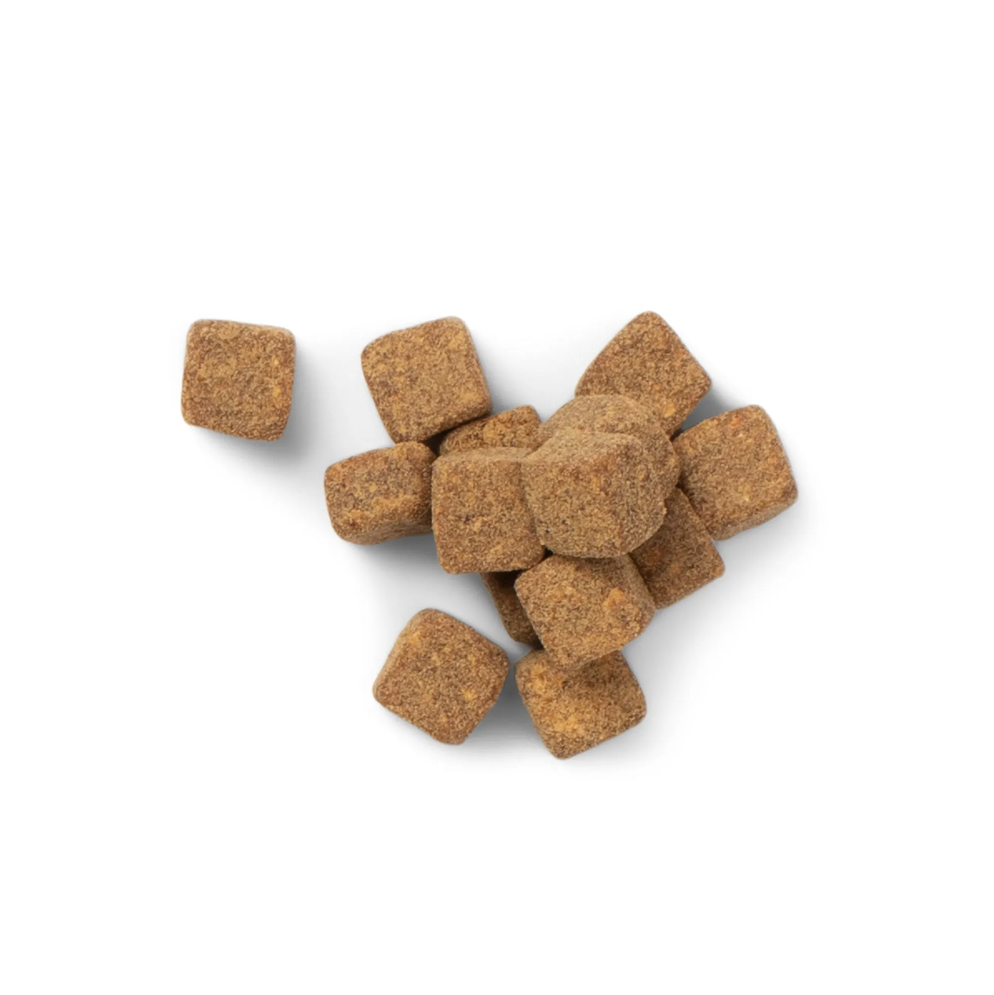 GNC Pets ESSENTIALS, Multivitamin, All Dog, 60-ct 2.2g Soft Chews