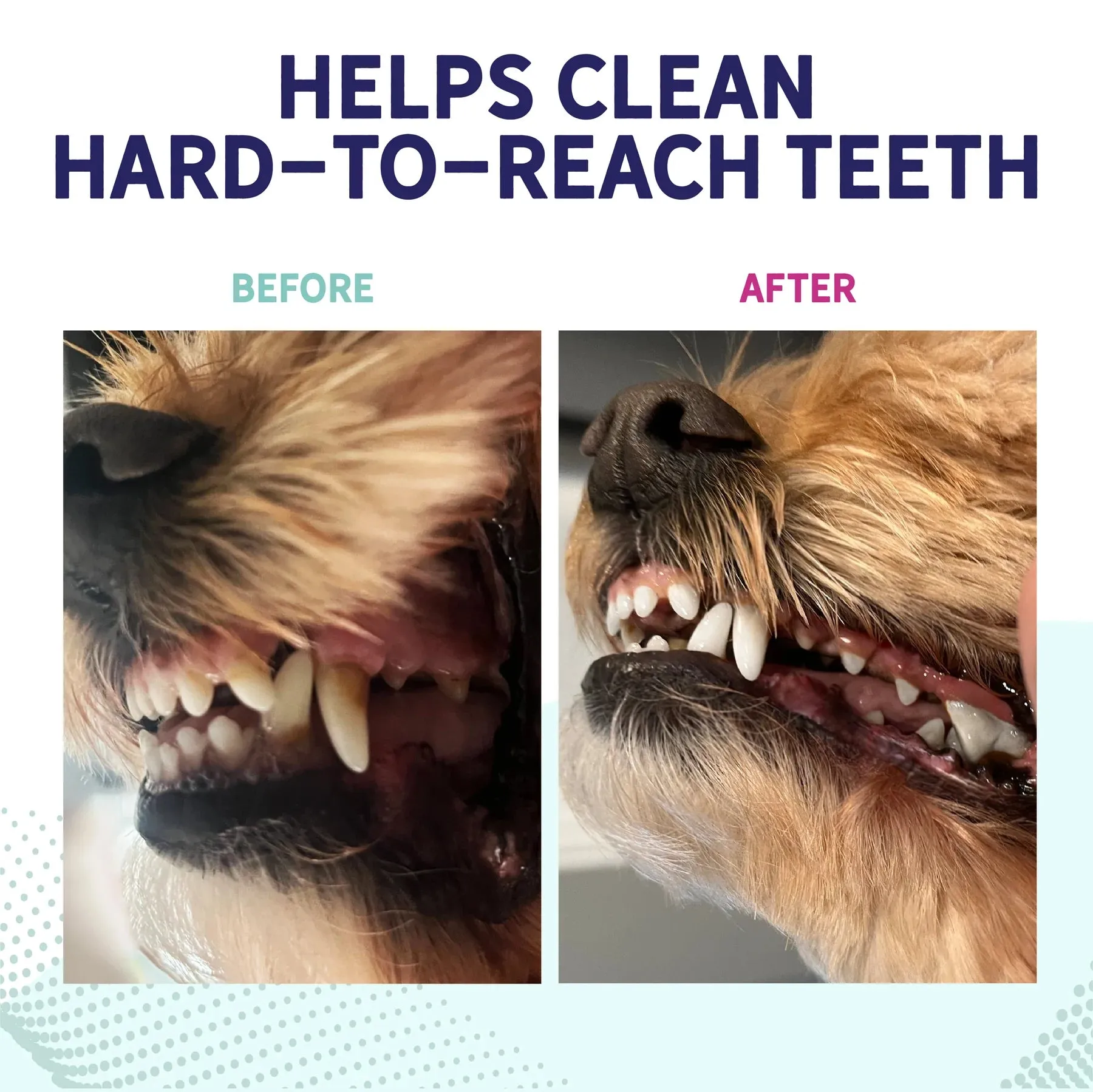 Health Extension Probiotic Dental Chews For Dogs