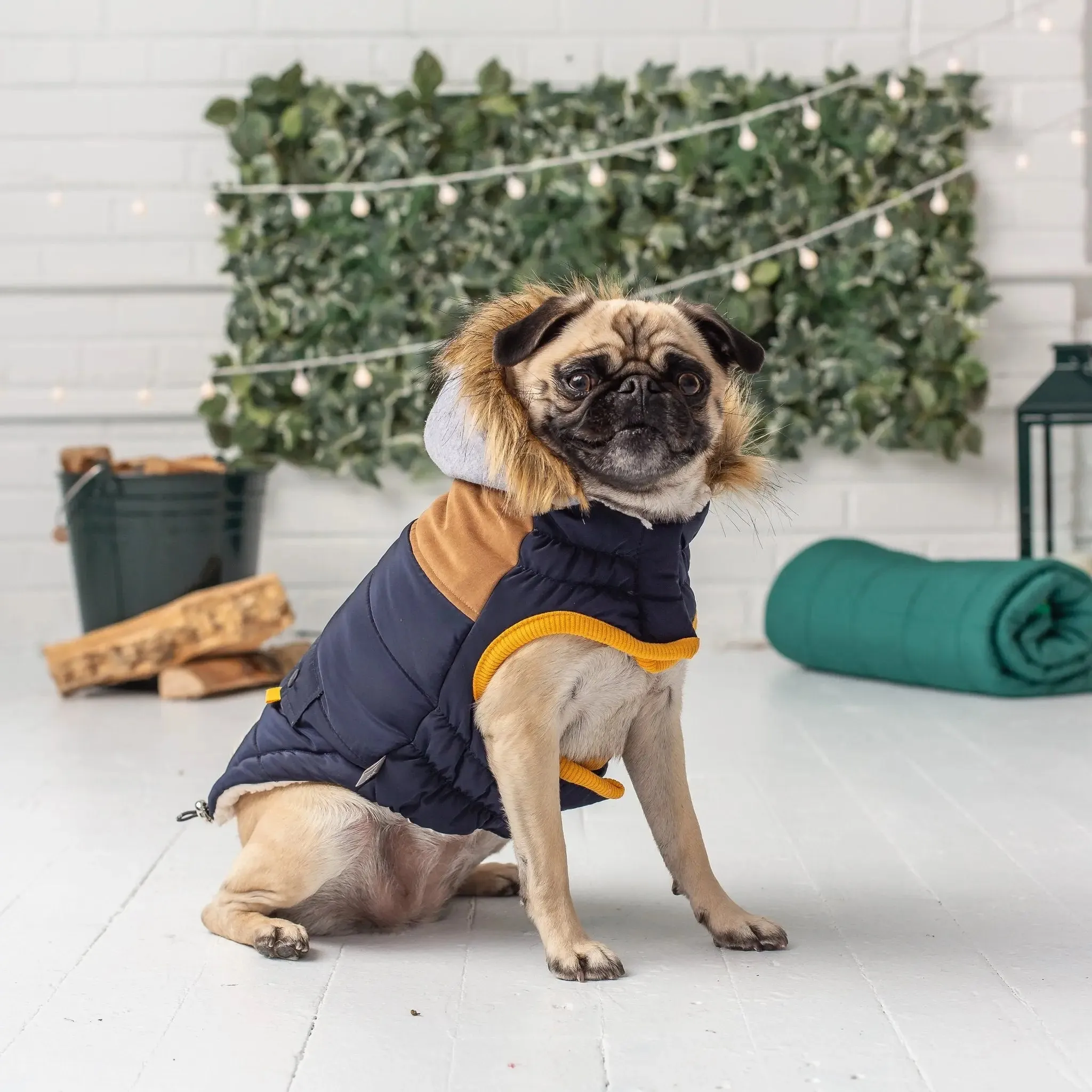 Lodge Parka Dog Coat | Navy