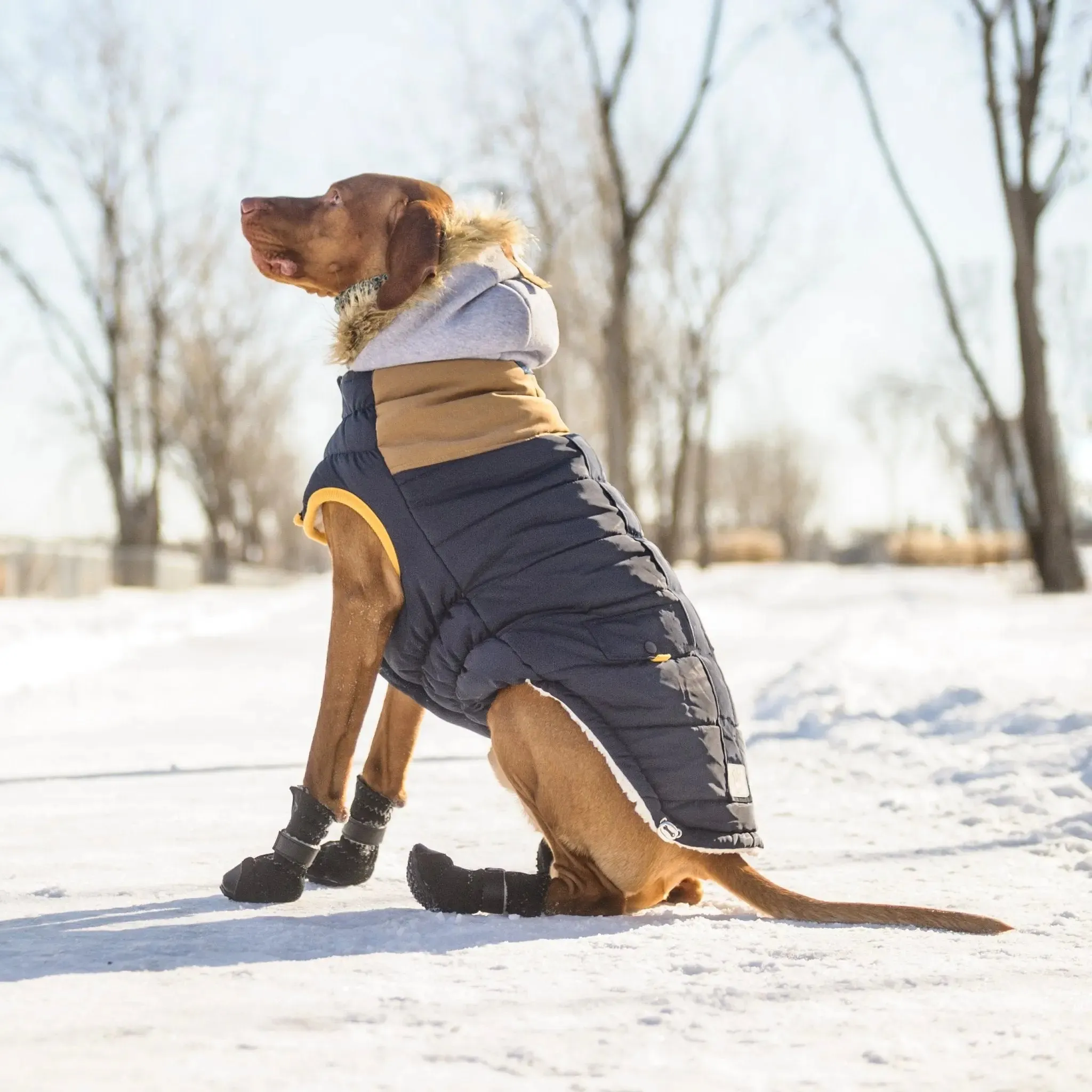 Lodge Parka Dog Coat | Navy