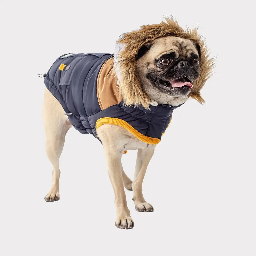 Lodge Parka Dog Coat | Navy