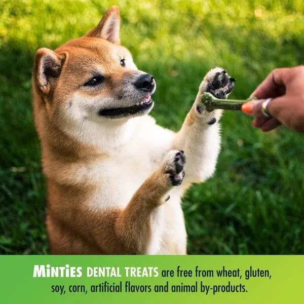 Minties Medium/Large Dental Bones for Dogs