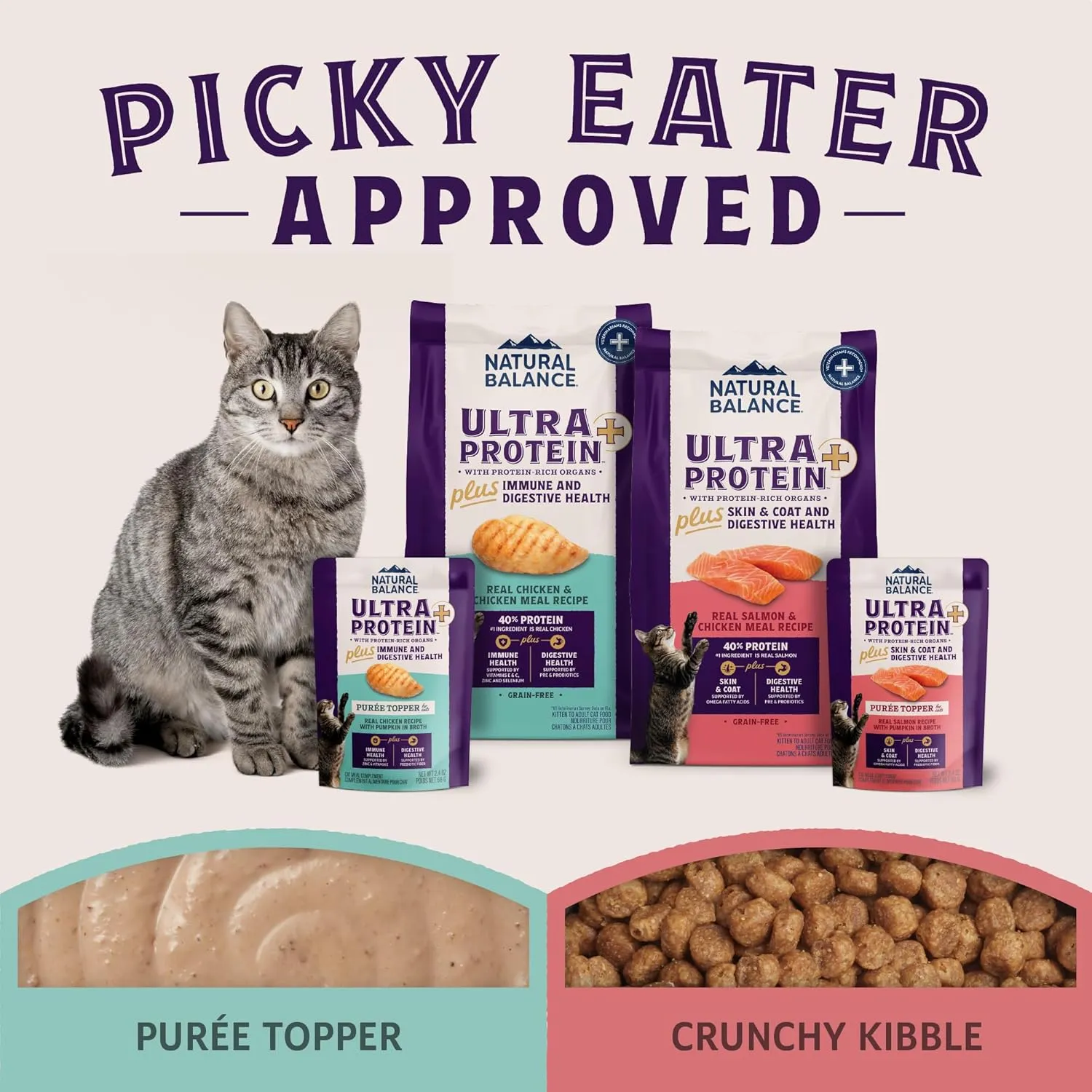 Natural Balance Ultra Protein Plus Wet Cat Food, Skin & Coat and Digestive Health Real Salmon With Pumpkin Puree Topper With Chicken Liver & Chicken Heart, High Protein Cat Food - 2.4 oz. (Pack of 24)