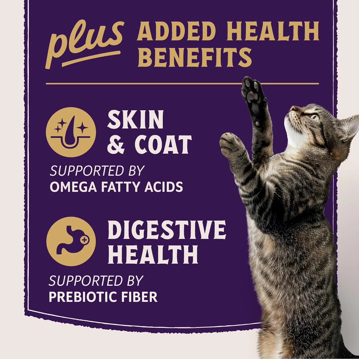 Natural Balance Ultra Protein Plus Wet Cat Food, Skin & Coat and Digestive Health Real Salmon With Pumpkin Puree Topper With Chicken Liver & Chicken Heart, High Protein Cat Food - 2.4 oz. (Pack of 24)