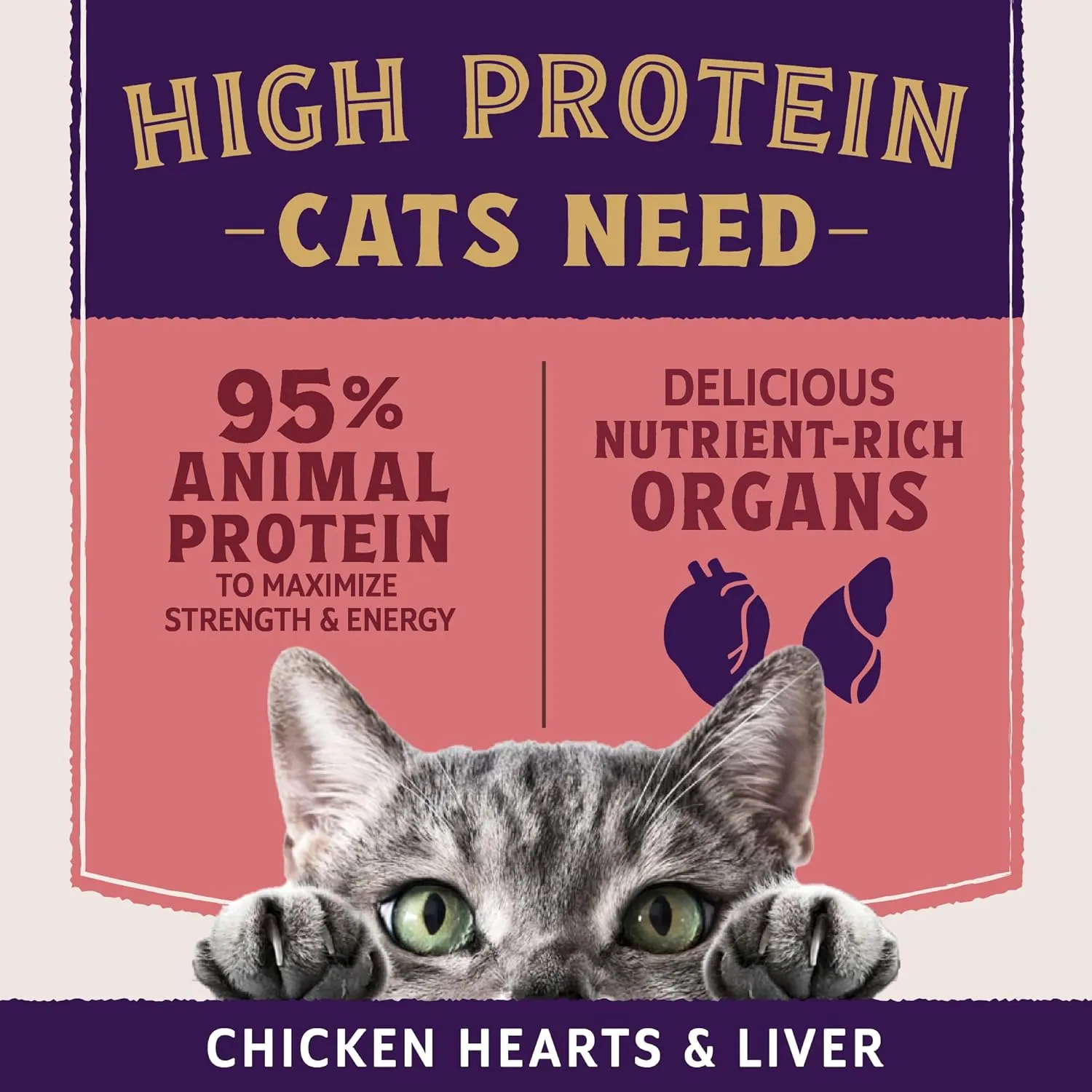Natural Balance Ultra Protein Plus Wet Cat Food, Skin & Coat and Digestive Health Real Salmon With Pumpkin Puree Topper With Chicken Liver & Chicken Heart, High Protein Cat Food - 2.4 oz. (Pack of 24)