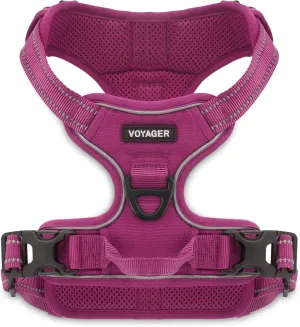 No Pull Dog Harness for Large Dogs, Dual Leash Attachments, Adjustable Soft but Strong Pet Harness with 3M Reflective Technology, Fuchsia Nylon, XS (Chest: 13-16")