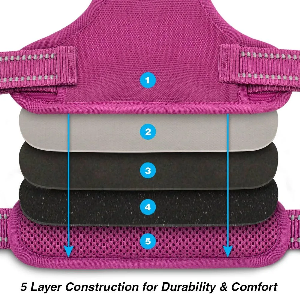 No Pull Dog Harness for Large Dogs, Dual Leash Attachments, Adjustable Soft but Strong Pet Harness with 3M Reflective Technology, Fuchsia Nylon, XS (Chest: 13-16")