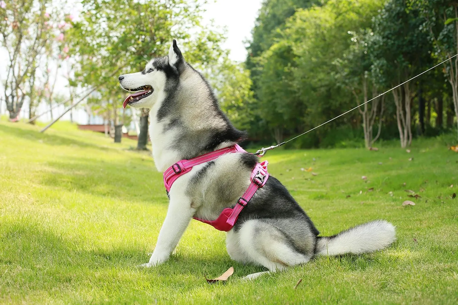 No Pull Dog Harness for Large Dogs, Dual Leash Attachments, Adjustable Soft but Strong Pet Harness with 3M Reflective Technology, Fuchsia Nylon, XS (Chest: 13-16")