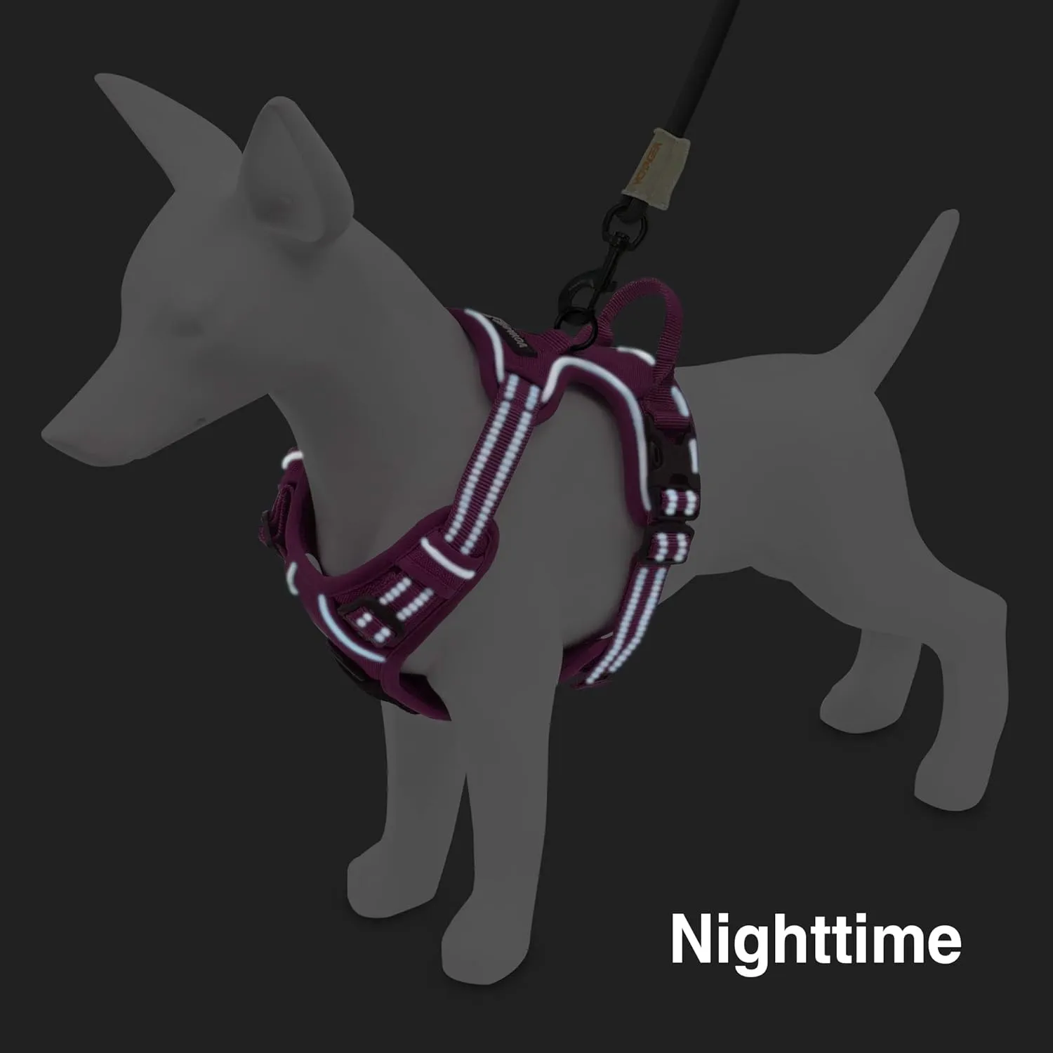 No Pull Dog Harness for Large Dogs, Dual Leash Attachments, Adjustable Soft but Strong Pet Harness with 3M Reflective Technology, Fuchsia Nylon, XS (Chest: 13-16")