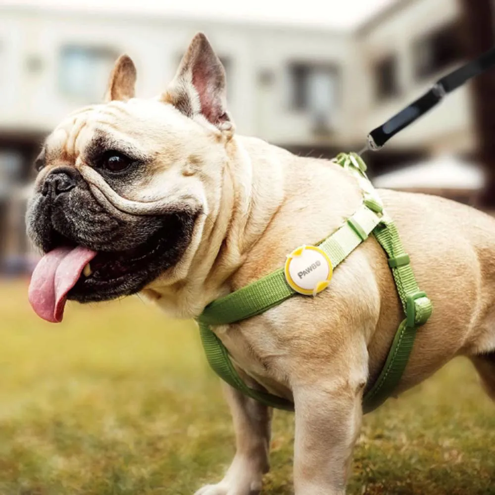 Pawbo iPuppyGo Smart Pet Activity Tracker Tag