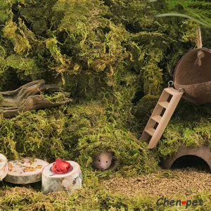 Pet Cage Decoration