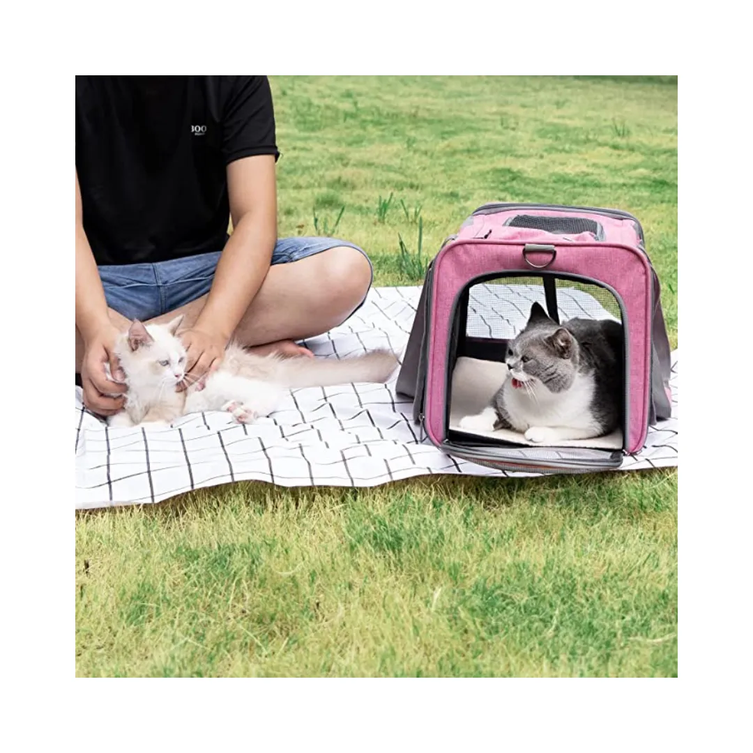 Pet Carrier for Large and Medium Cats