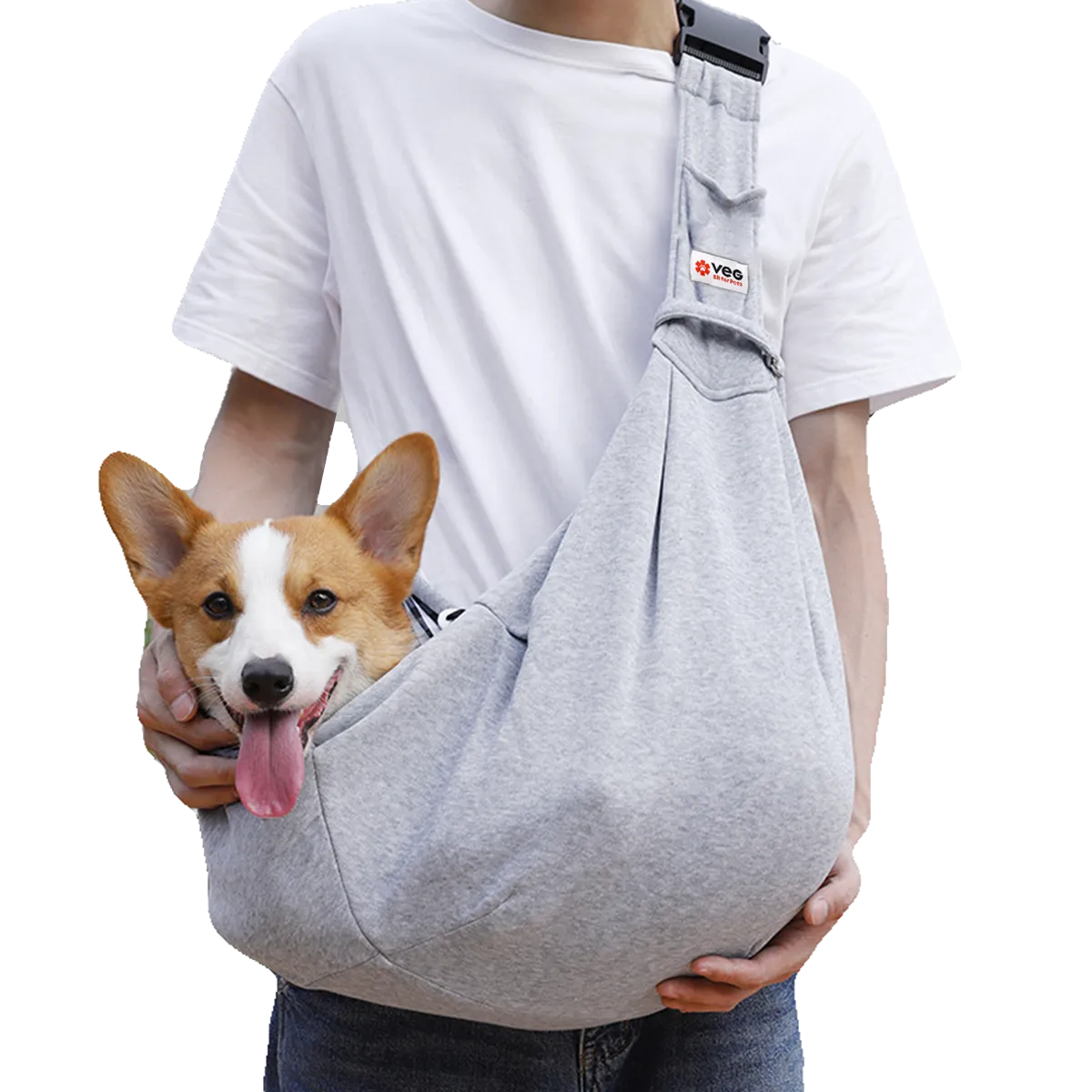 Pet Carrier