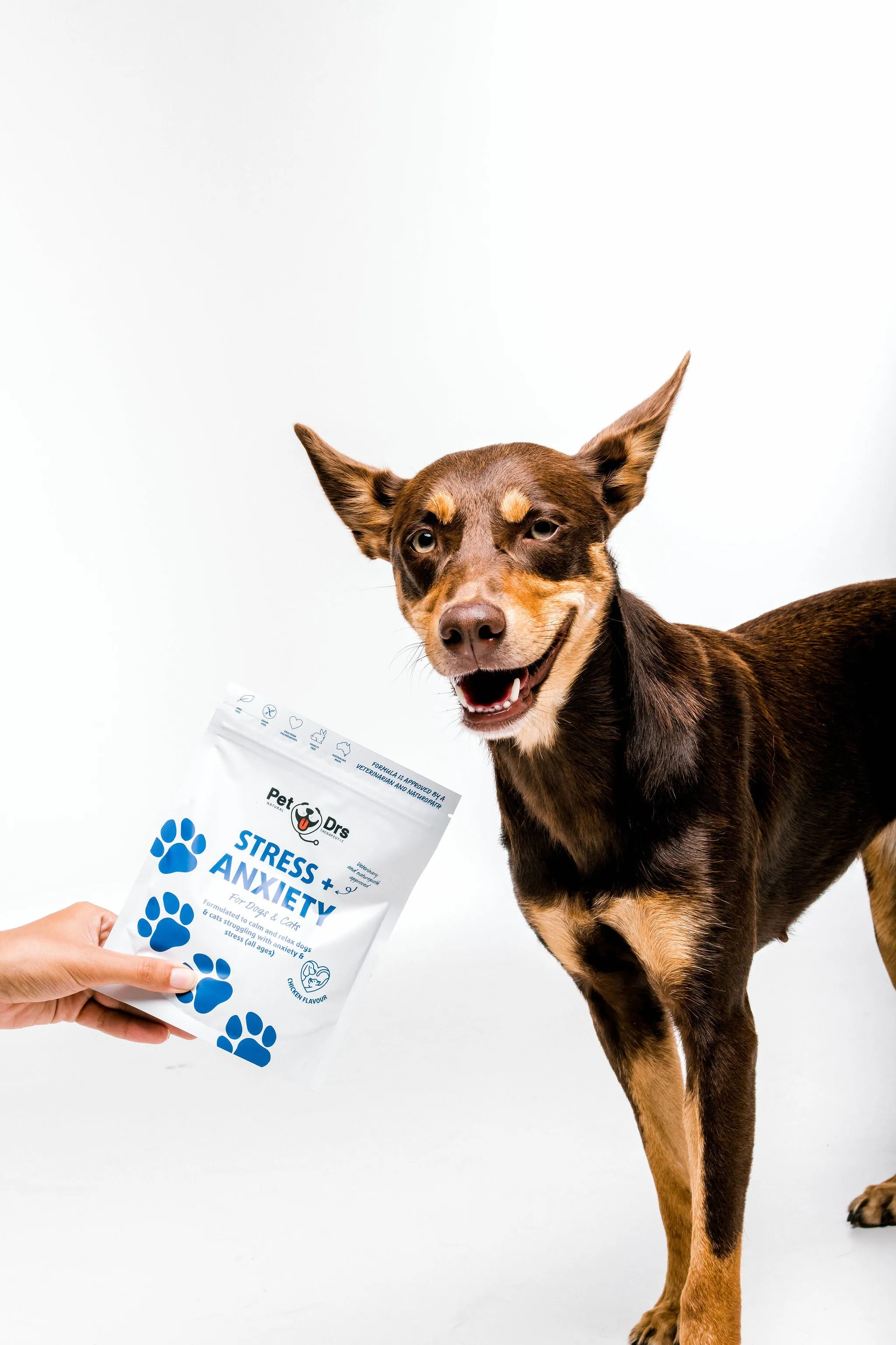 Pet Drs Dog and Cat Supplement Stress & Anxiety
