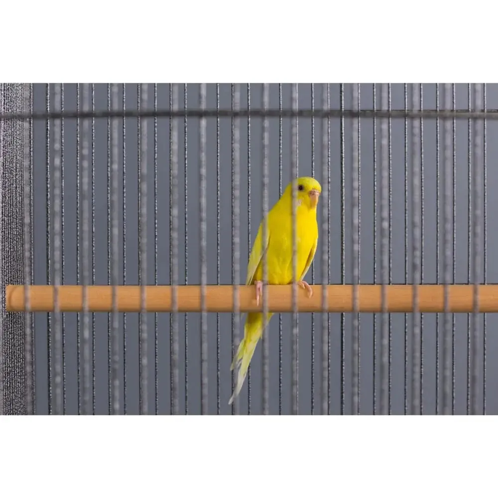 Prevue Pet Products Small Bird Wrought Iron Flight Bird Cage F041