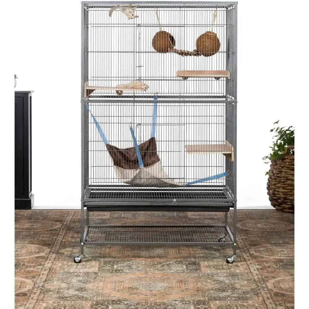 Prevue Pet Products Small Bird Wrought Iron Flight Bird Cage F041