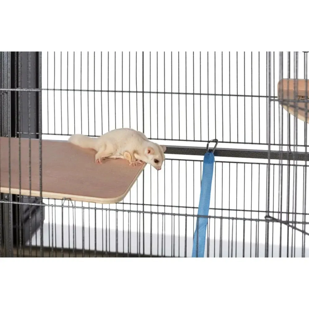 Prevue Pet Products Small Bird Wrought Iron Flight Bird Cage F041