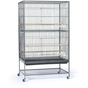 Prevue Pet Products Small Bird Wrought Iron Flight Bird Cage F041