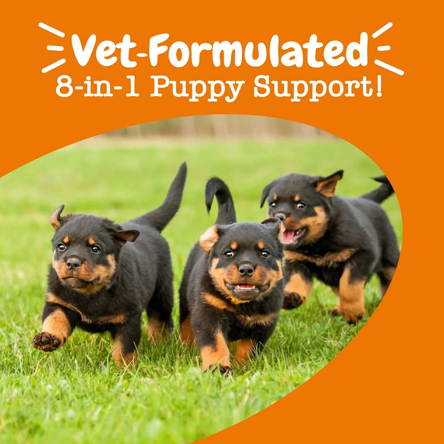 Puppy 8-in-1 Multivitamin Bites