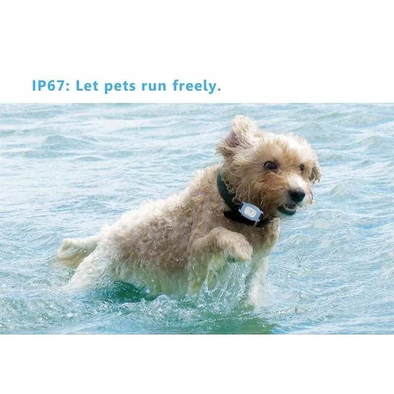 Smart GPS Pet Collar Tracker