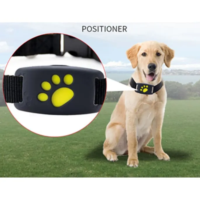 Smart GPS Pet Collar Tracker