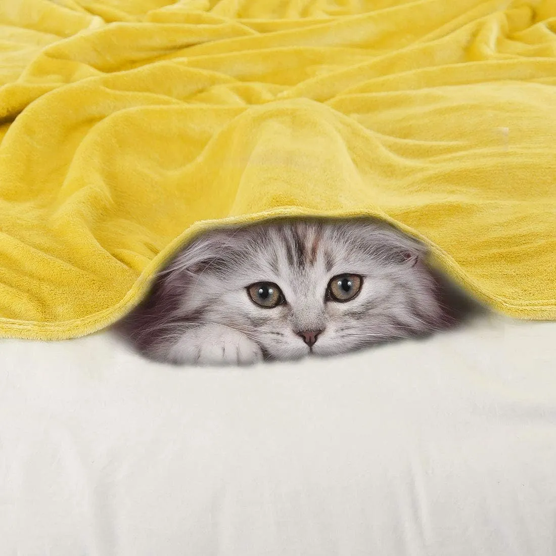 uxcell Pet Dog Blanket, Flannel Fleece Puppy Blanket Solid Plush Warm Rug Blankets and Throws for Small-Medium Dogs Cats Doggy Sleeping Mat, Yellow 27x40 Inch