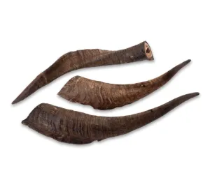 Waggly Snacks Goat Horn w Marrow 25-30cm Dog Treat