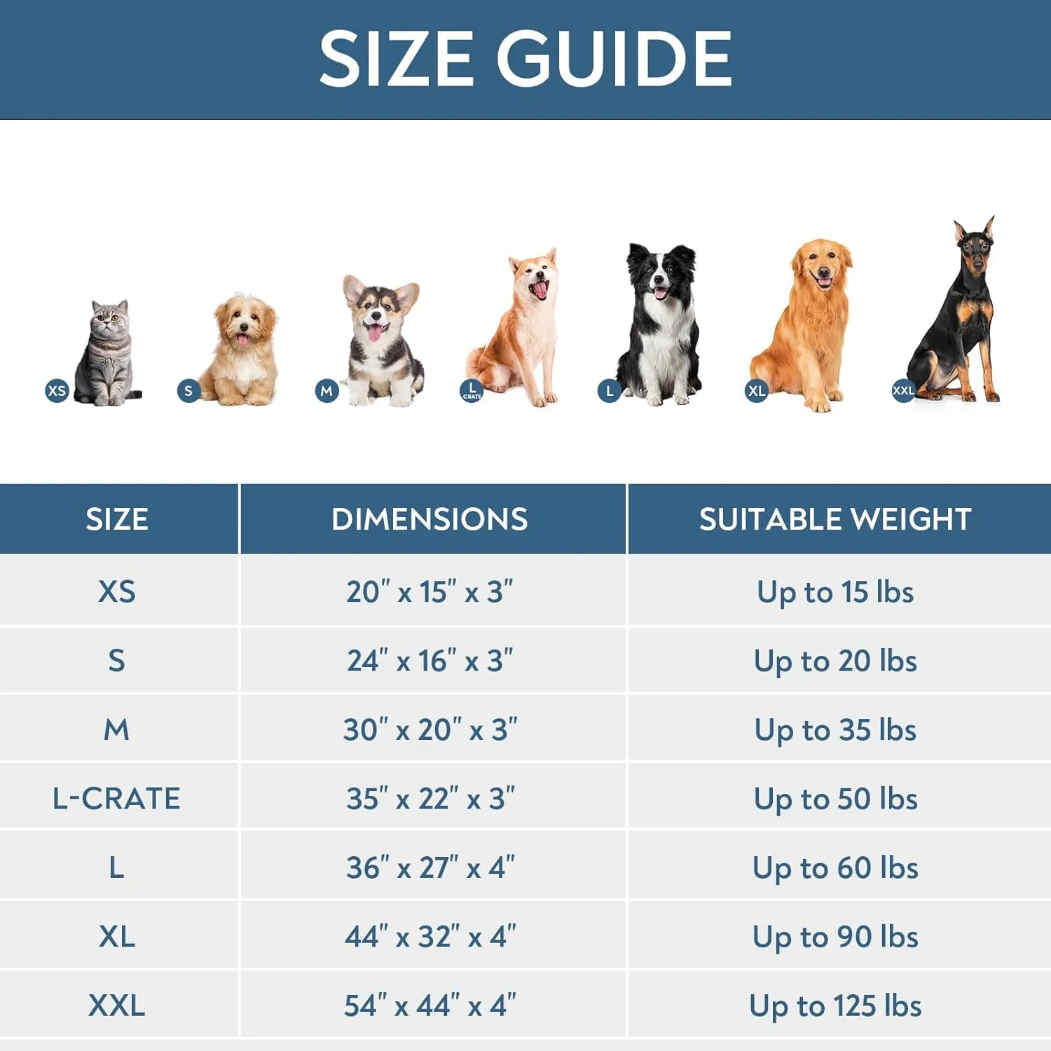 Waterproof Dog Bed Cover, Removable Dog Bed Covers Replacement Washable with Smooth Zipper, Indoor/Outdoor Washable Bone Print Pet Bed Cover for Cat, 20 x 30 x 3 Inch, Cover Only